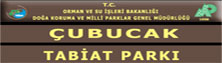 Çabukça Tabiat Parkı - Marmaris